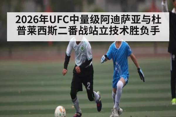 2026年UFC中量级阿迪萨亚与杜普莱西斯二番战站立技术胜负手 | Kaiyun Sports